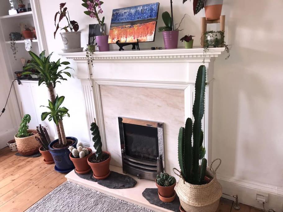 Cosy 2 Bedroom Flat In Edinburgh Ngoại thất bức ảnh