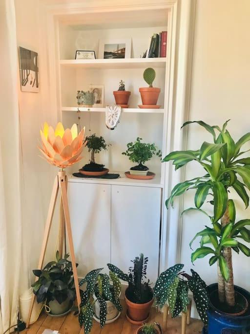 Cosy 2 Bedroom Flat In Edinburgh Ngoại thất bức ảnh